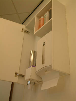 Dispenser cabinet with mirrordoor
